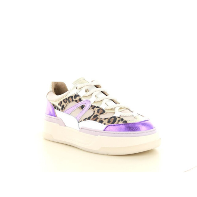 DWRS Label Walton leopard 237.01.077 large