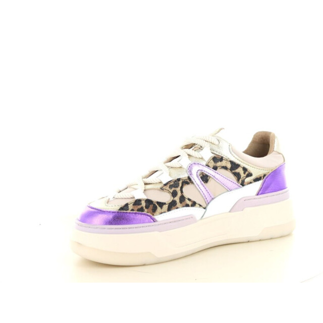 DWRS Label Walton leopard 237.01.077 large