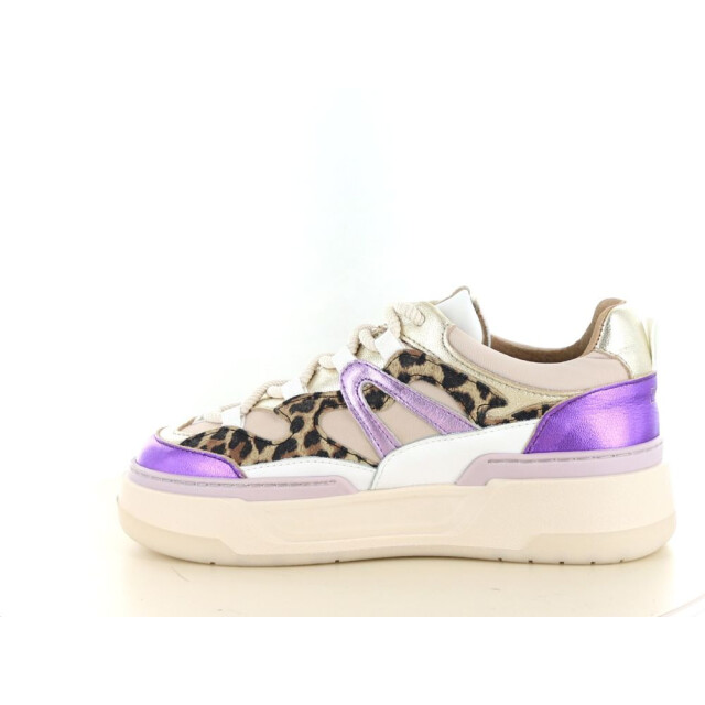 DWRS Label Walton leopard 237.01.077 large