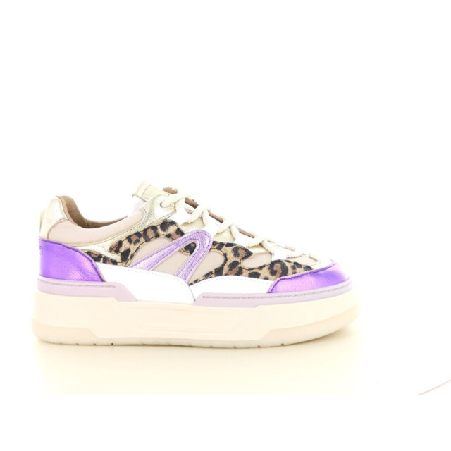 DWRS Label Walton leopard 237.01.077 large