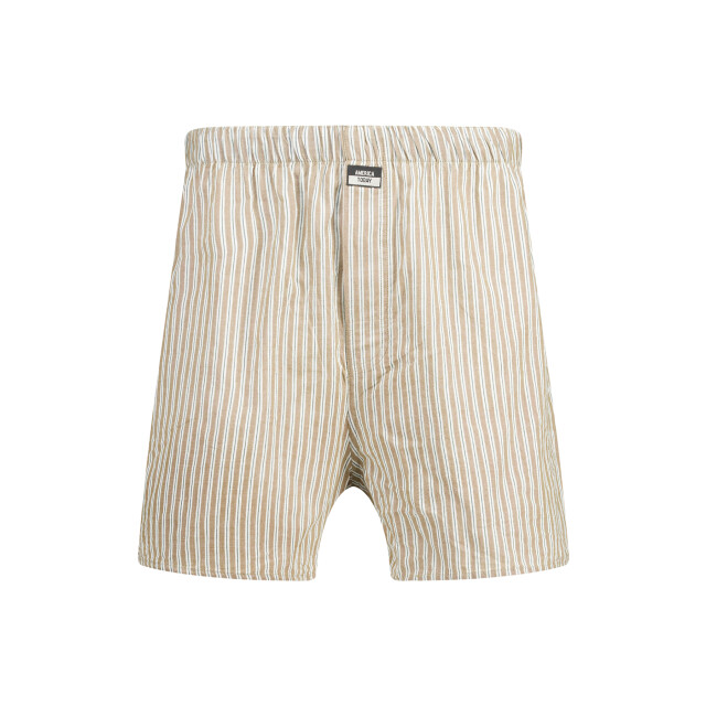 America Today Thomas boxershorts 1412002438 452 large
