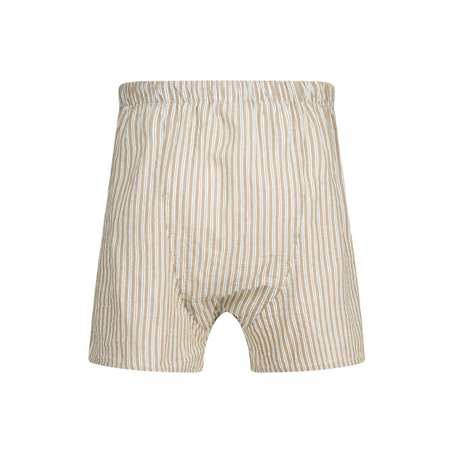 America Today Thomas boxershorts 1412002438 452 large