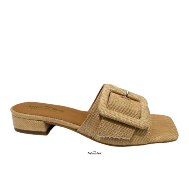 AVDB Damesschoenen slippers 50557 10.505 large