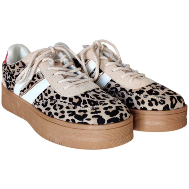 Poelman C1152148apsh1 sneaker C1152148APSH1 large