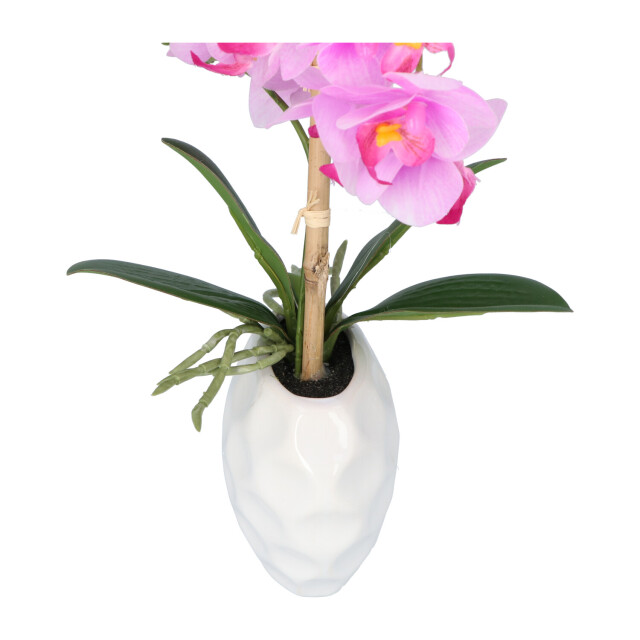 Kopu ® kunstplant orchidee 33 cm in witte sierpot 13x9cm - 2612794 large