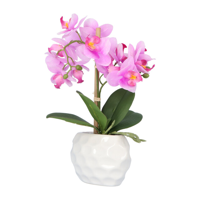 Kopu ® kunstplant orchidee 33 cm in witte sierpot 13x9cm - 2612794 large