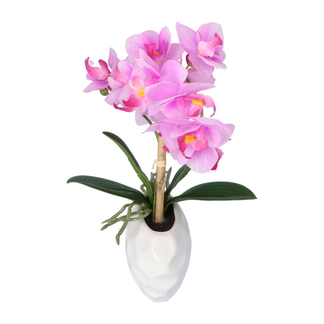 Kopu ® kunstplant orchidee 33 cm in witte sierpot 13x9cm - 2612794 large