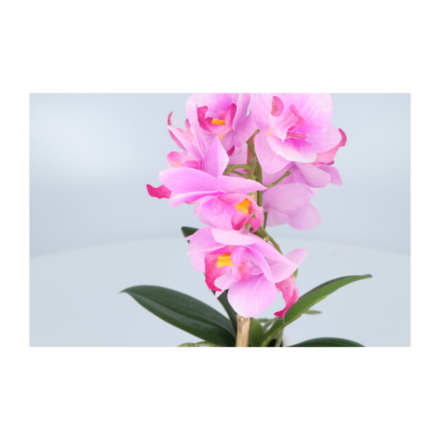 Kopu ® kunstplant orchidee 33 cm in witte sierpot 13x9cm - 2612794 large