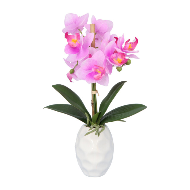 Kopu ® kunstplant orchidee 33 cm in witte sierpot 13x9cm - 2612794 large