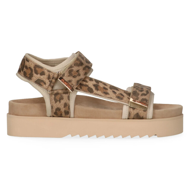 Maruti 66.1653.01 beau leopard 66.1653.01 large