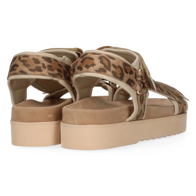 Maruti 66.1653.01 beau leopard 66.1653.01 large