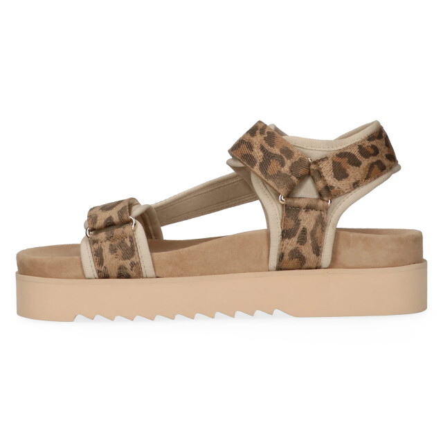 Maruti 66.1653.01 beau leopard 66.1653.01 large