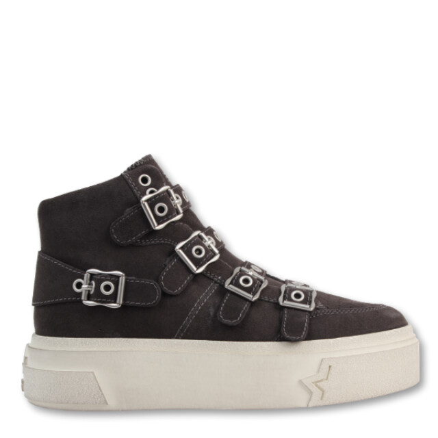 Ash Starmoon buckle Starmoon buckle large