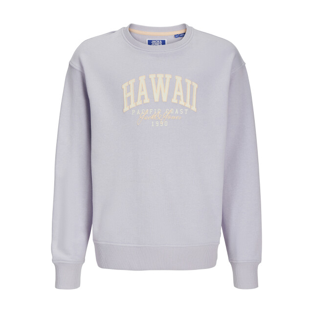 Jack & Jones Jjdetroit sweat crew neck jnr 12269858 large