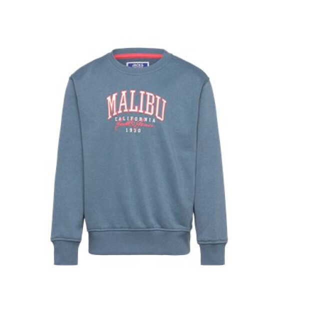 Jack & Jones Jjdetroit sweat crew neck jnr 12269858 large
