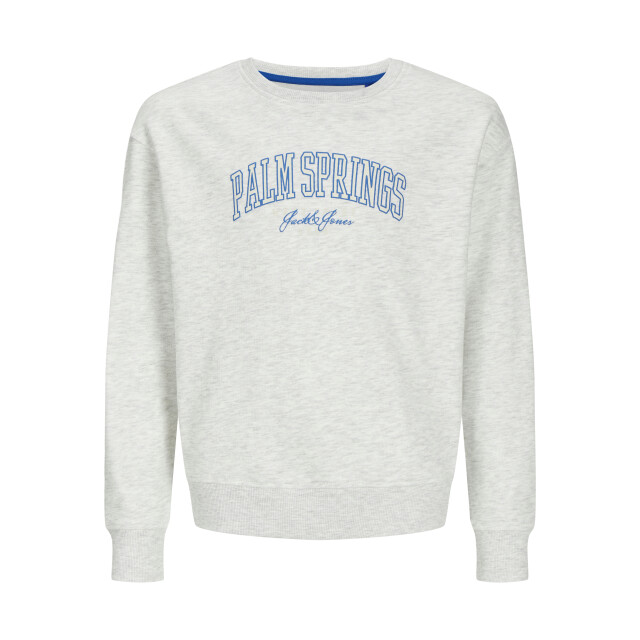 Jack & Jones Jjdetroit sweat crew neck jnr 12269858 large