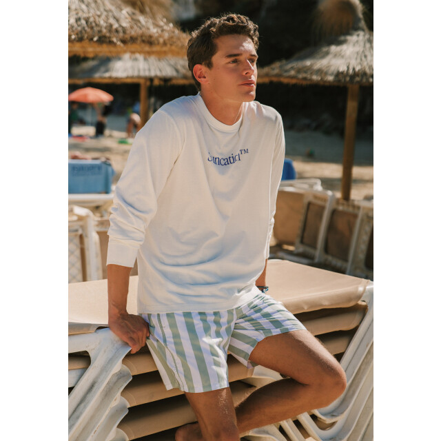 Shiwi Heren zwemshort broad stripe 1441100200-708 large