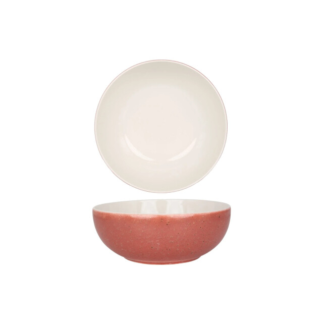 Rinart Diepbord rosa porselein 23 cm (2000cc) set van 6 3068996 large
