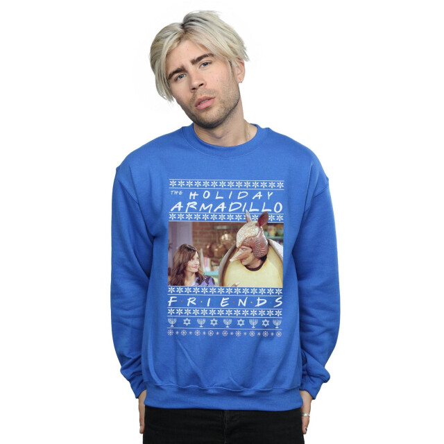 Li-cense Friends heren fair isle holiday armadillo sweatshirt UTBI24131_royalblue large