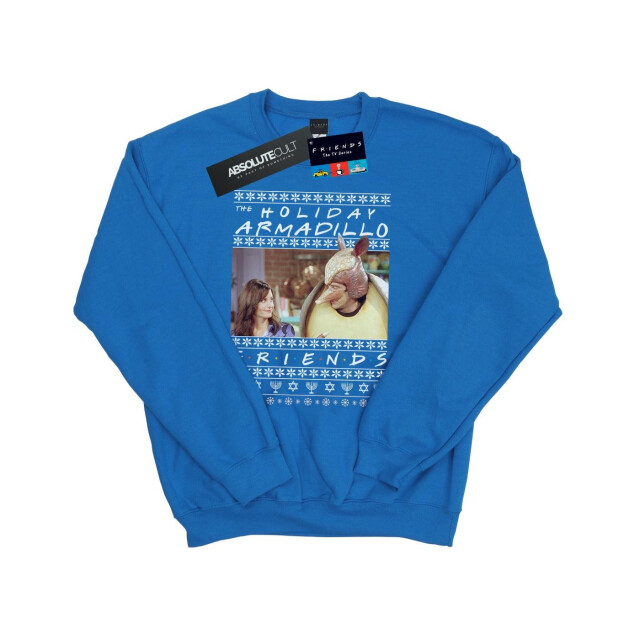 Li-cense Friends heren fair isle holiday armadillo sweatshirt UTBI24131_royalblue large
