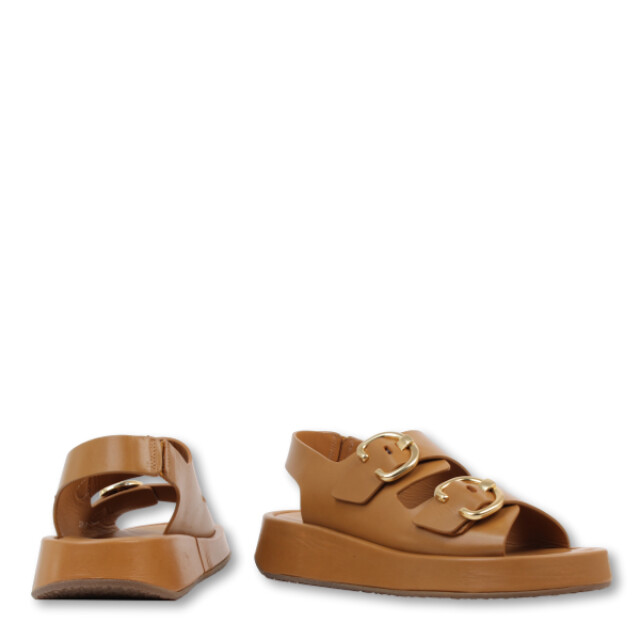 Pertini 241w32284c1 241W32284C1 large