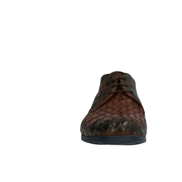 Lorenzi 5931 5931 large