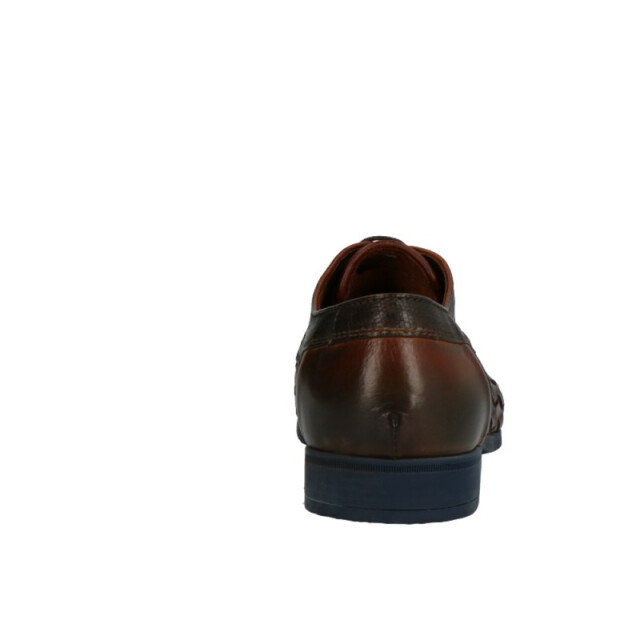 Lorenzi 5931 5931 large