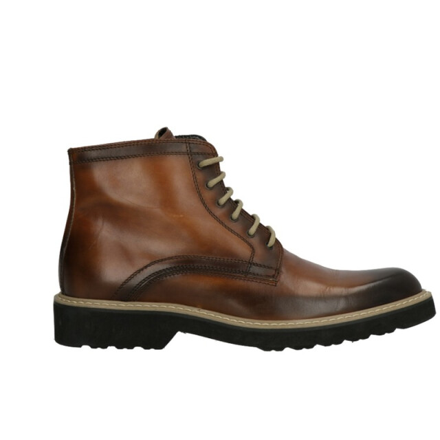 Lorenzi 2838 2838 large