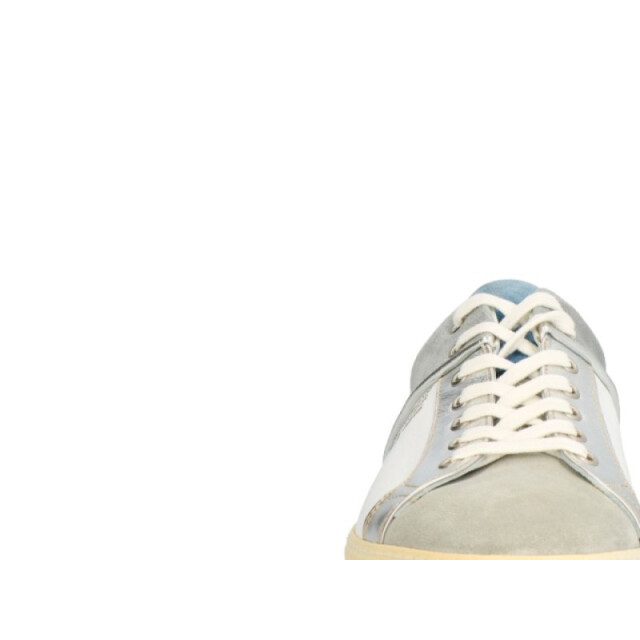 Lorenzi 9865 9865 large