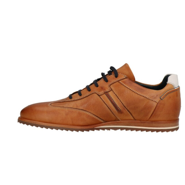 Will Lester 36305 36305 large