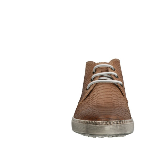 Lorenzi 2030 2030 large