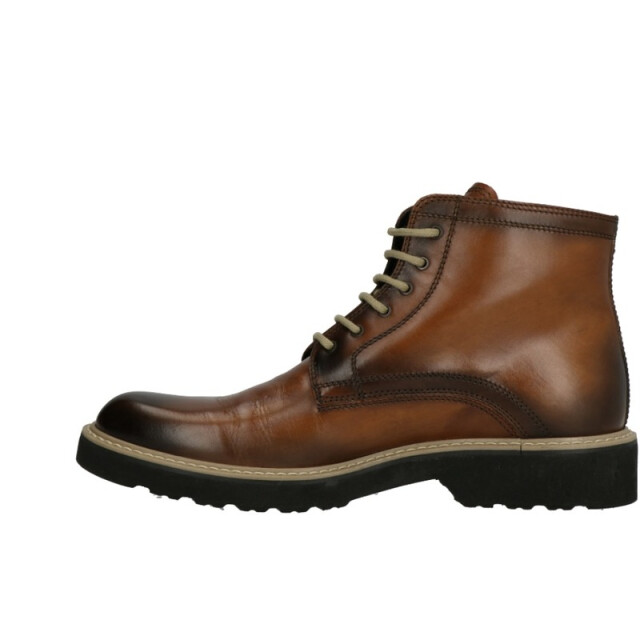 Lorenzi 2838 2838 large