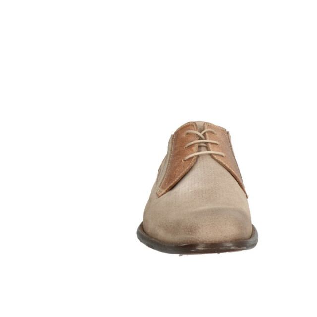 Lorenzi 8698 8698 large