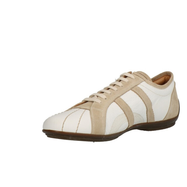 Lorenzi 6043 6043 large