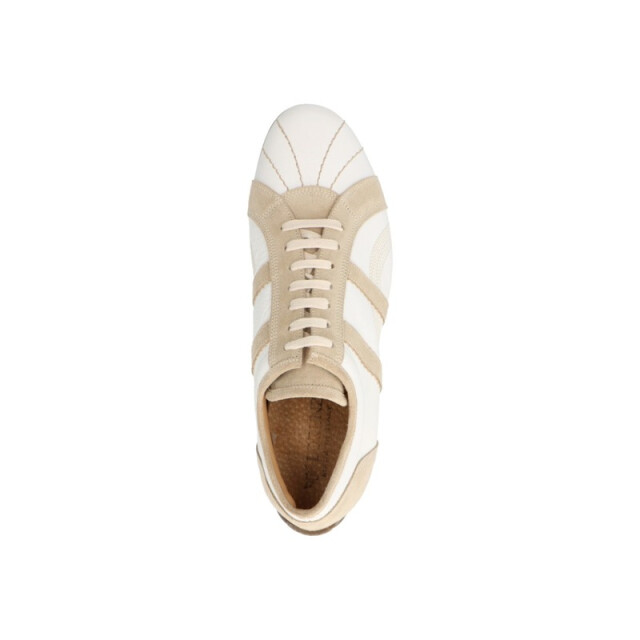 Lorenzi 6043 6043 large