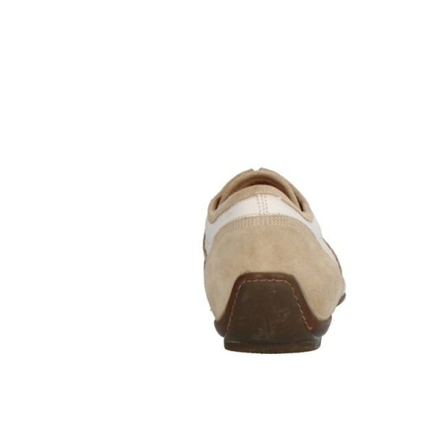 Lorenzi 6043 6043 large