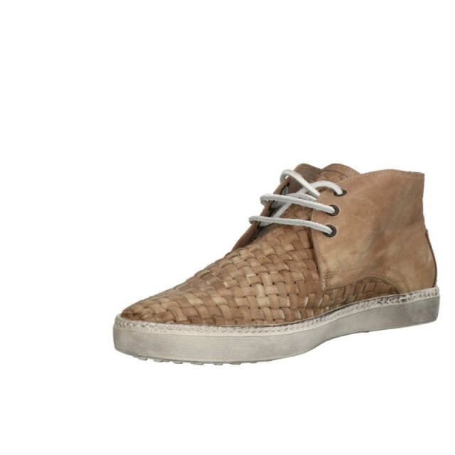 Lorenzi 2029 2029 large