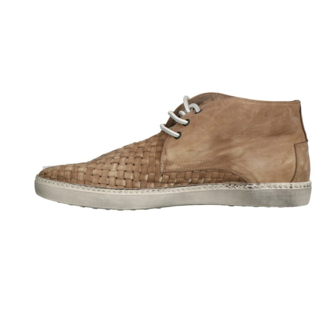 Lorenzi 2029 2029 large