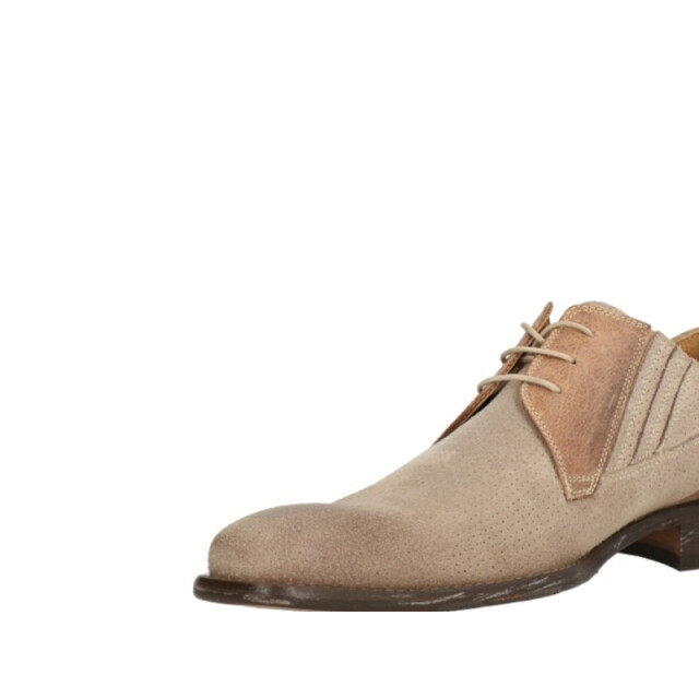 Lorenzi 8698 8698 large