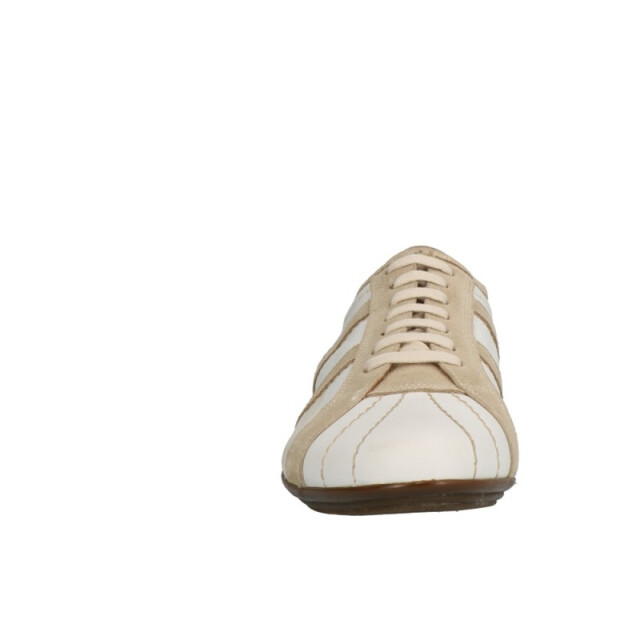 Lorenzi 6043 6043 large