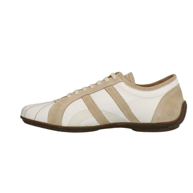 Lorenzi 6043 6043 large