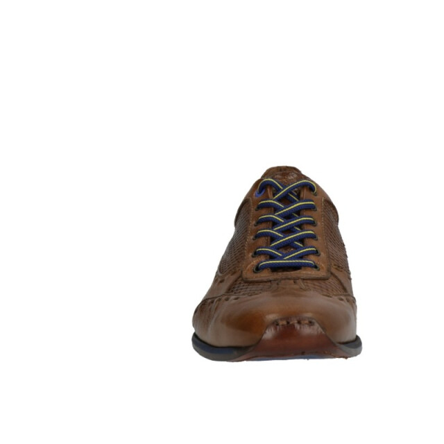 Lorenzi 4301 4301 large