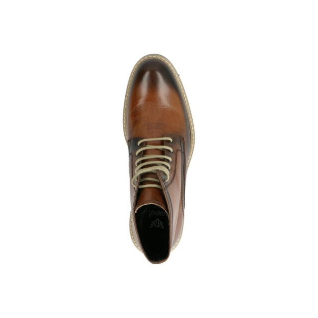 Lorenzi 2838 2838 large