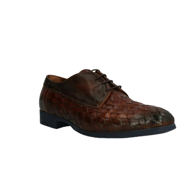 Lorenzi 5931 5931 large