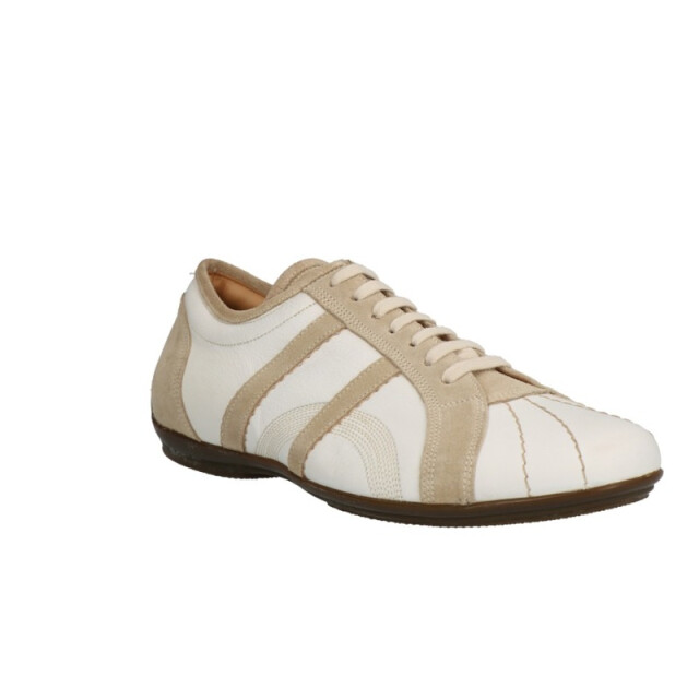 Lorenzi 6043 6043 large