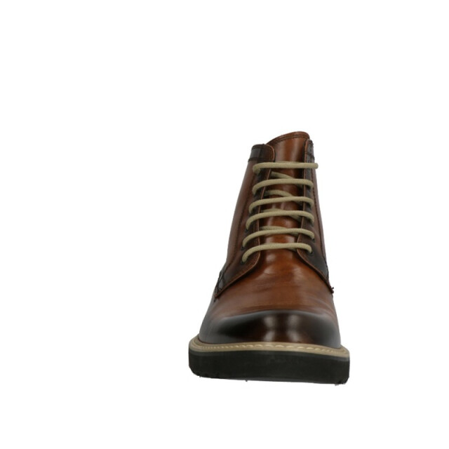 Lorenzi 2838 2838 large