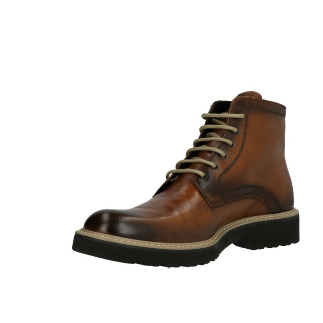 Lorenzi 2838 2838 large