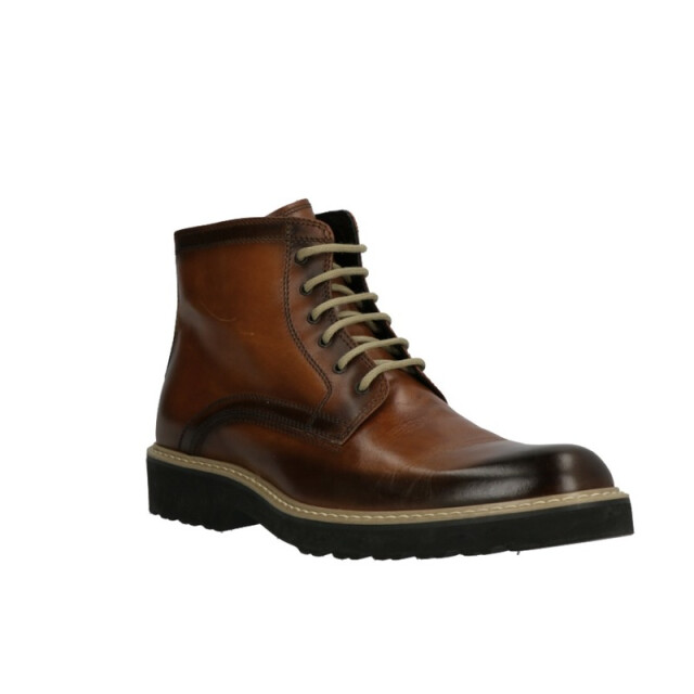 Lorenzi 2838 2838 large