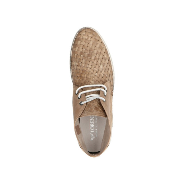 Lorenzi 2029 2029 large