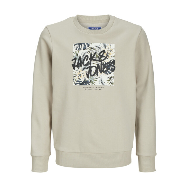 Jack & Jones Jjhawaii shape sweat crew neck jnr 12269863 large